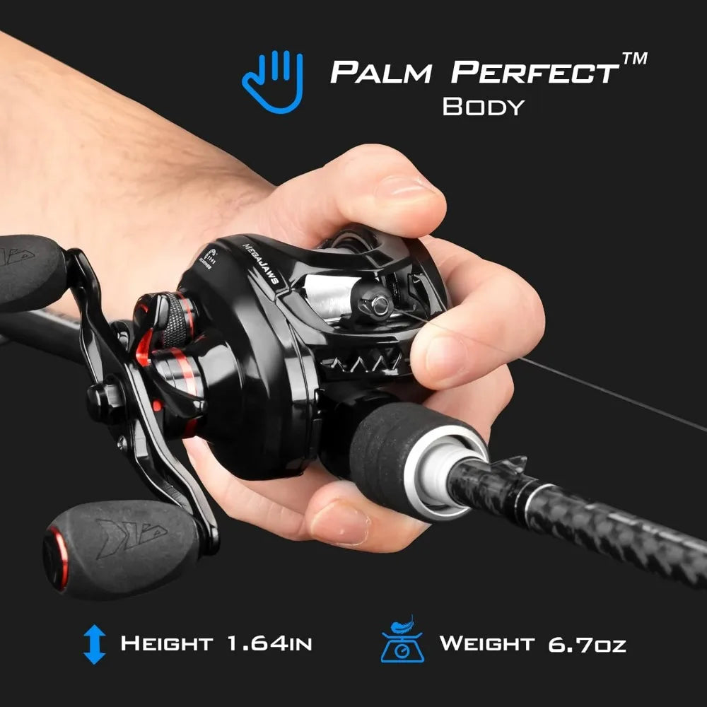 Baitcasting Fishing Reel, New AutoMag Dual Braking System